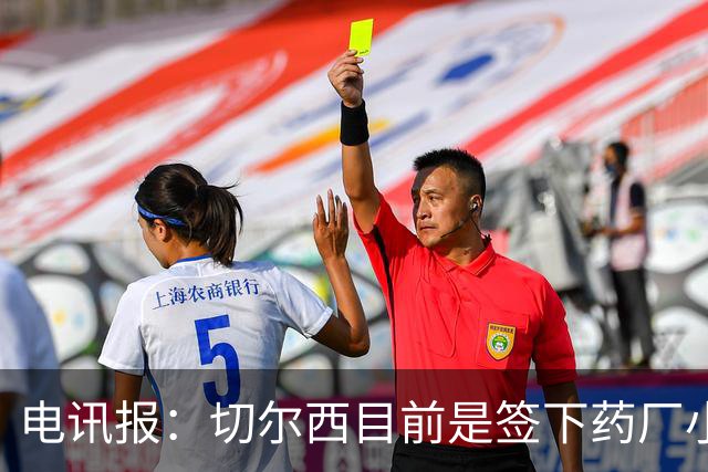 电讯报：切尔西目前是签下药厂小将阿拉伊贝戈维奇的最大热门